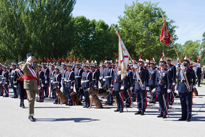 S. M. el Rey Felipe VI pasando revista a la Guardia Real con motivo de la celebración de una Jura de Bandera